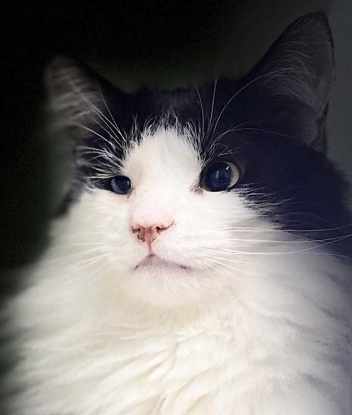 Portrait of Jess